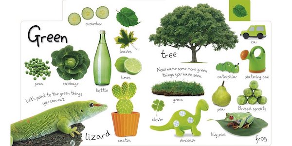 Interior page from My First Colors shows a large variety of green things including a lizard, tree, cucumbers, and a green watering can.