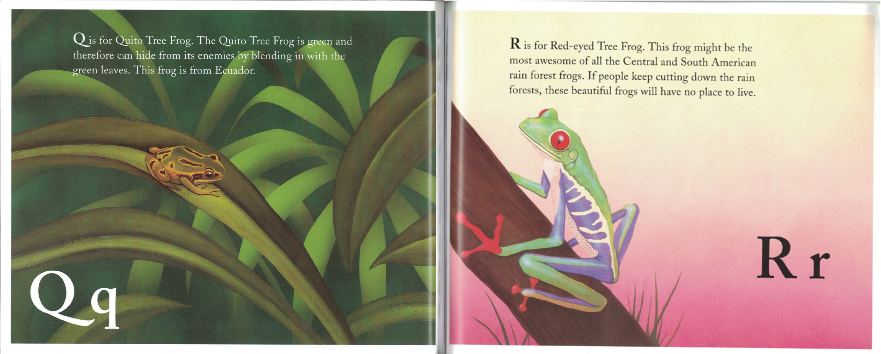 18 Picture Books for Kids Who REALLY Love Frogs & Toads